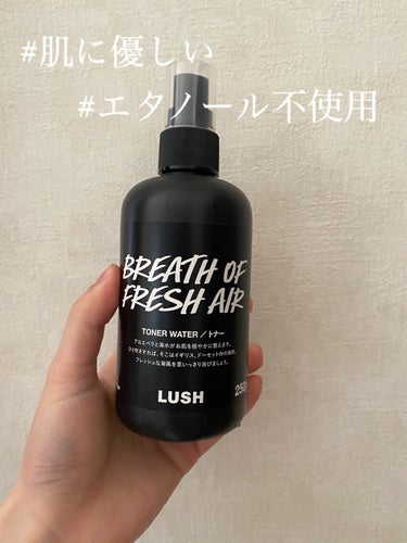 1番の推しポイントはエタノール不使用という事！！❤︎❤︎敏感肌な人でも使えるそうです！


LUSHのスプレータイプの化粧水（トナー）です✨

SHIROの化粧水などにも配合されてる
アロエベラエキスも