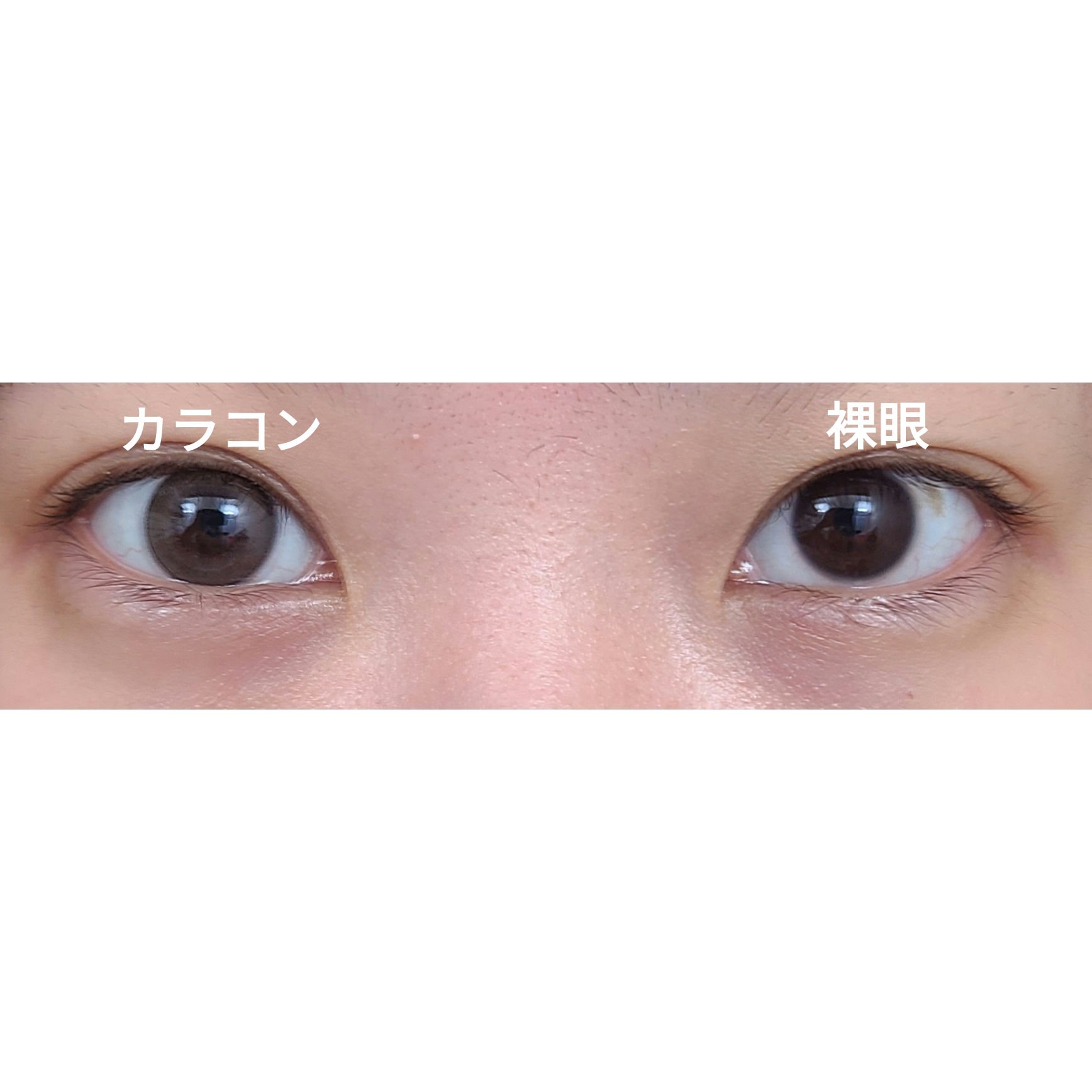 LARME NATURAL  SERIES/LARME/カラーコンタクトレンズを使ったクチコミ（1枚目）