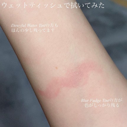 デュイフルウォーターティント/rom&nd/リップティントを使ったクチコミ(5枚目)