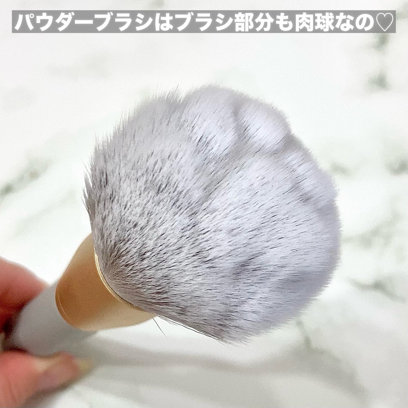 SIXPLUS メイクブラシ5本セット ハートペット/SIXPLUS/メイクブラシを使ったクチコミ(4枚目)