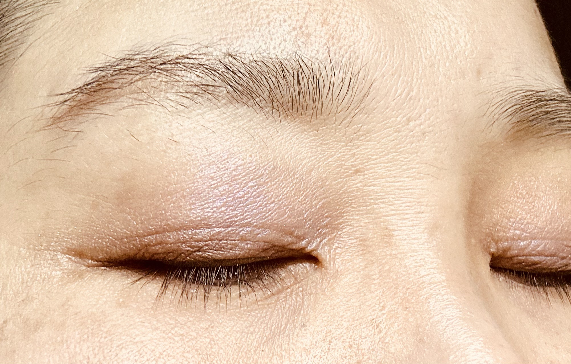 オンブルクルールクアドリ 12 Purple Ocean Twilight（レフィル