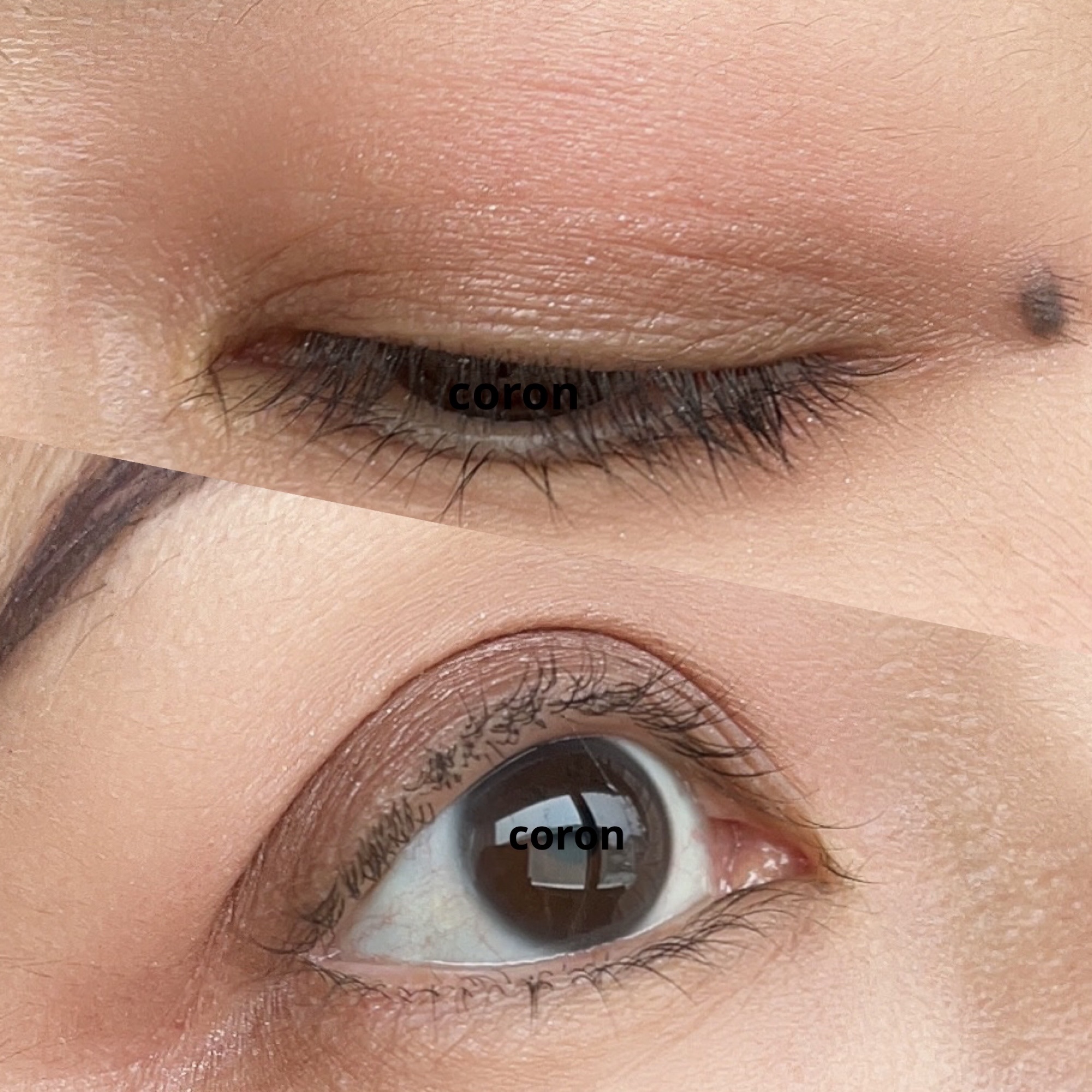 ケイト リップモンスター/KATE/口紅を使ったクチコミ（2枚目）