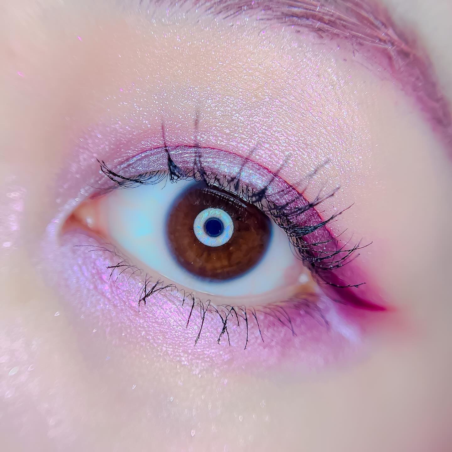 【旧】サンク クルール クチュール/Dior/アイシャドウパレットを使ったクチコミ（3枚目）