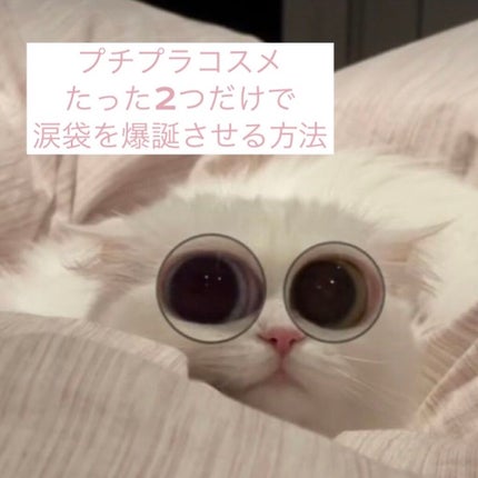 カラーミキシングコンシーラー/キャンメイク/パレットコンシーラーを使ったクチコミ(1枚目)