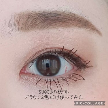 本日のメイク💄

SUQQUシグニチャー カラー アイズ
121寒花 -KANKAの、右側半分をメインに使って
ブラウンメイクをしたよ✌️

明るい茶色寄りでもないような気がするので
落ち着いた目元にな