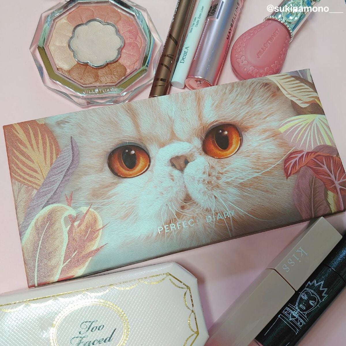エクスプローラ12色 動物アイシャドウパレット/PERFECT DIARY/アイシャドウパレットを使ったクチコミ(8枚目)