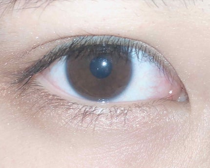 シルキースフレアイズ/キャンメイク/アイシャドウパレットを使ったクチコミ(2枚目)