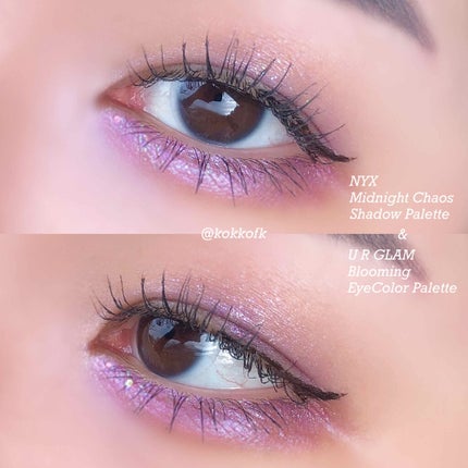 ミッドナイトカオス シャドウパレット/NYX Professional Makeup/アイシャドウパレットを使ったクチコミ(1枚目)