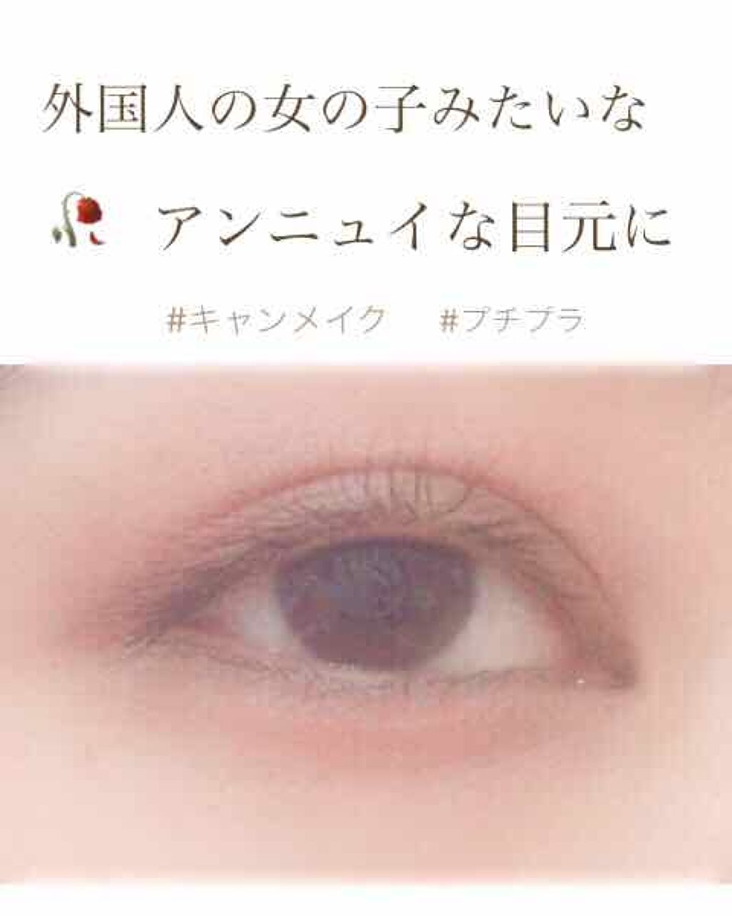 パーフェクトマルチアイズ/キャンメイク/アイシャドウパレットを使ったクチコミ（1枚目）