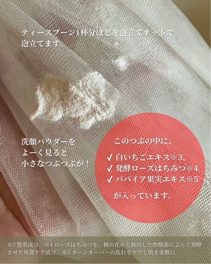パウダーテック・ウォッシュ/WHITE ICHIGO/洗顔パウダーを使ったクチコミ(4枚目)