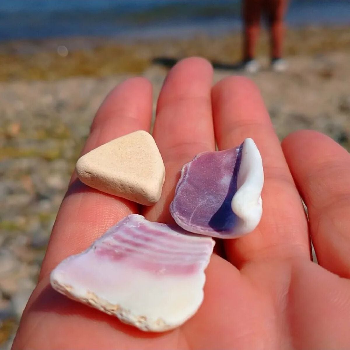 seiko_official on LIPS ãokayamaðïžhimeji#scioscio#ã·ã§ãŒã·ã§ãŒ..ãïŒ6æç®ïŒ