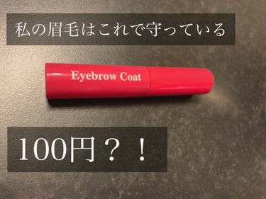 アイブロウコートDA/DAISO/アイブロウコートを使ったクチコミ（1枚目）