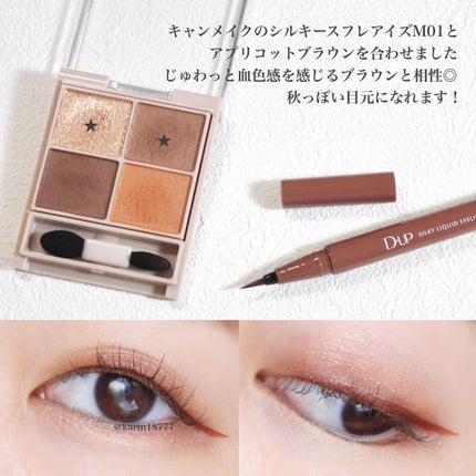 シルキーリキッドアイライナーWP/D-UP/リキッドアイライナーを使ったクチコミ(4枚目)