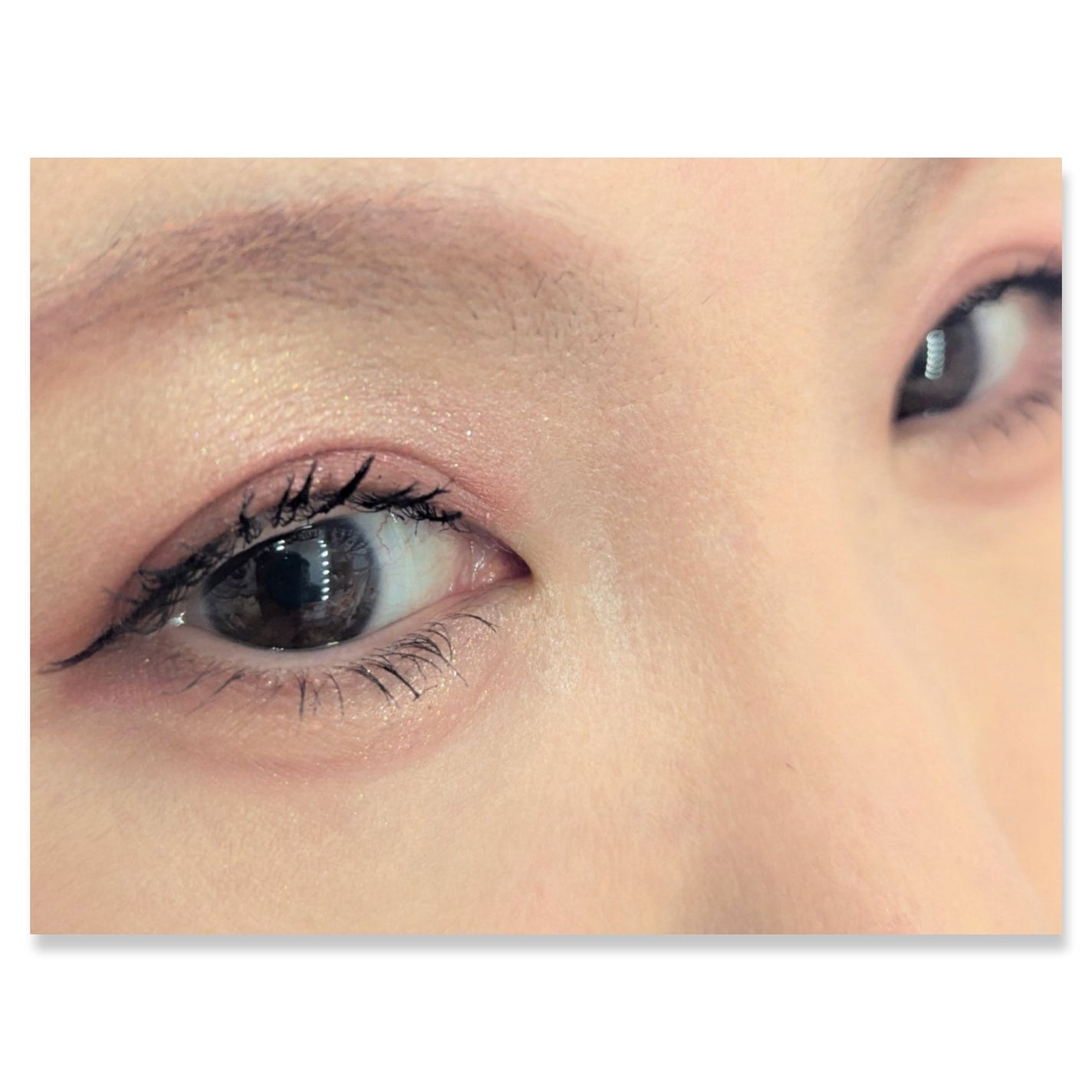 レブロン ダズル アイシャドウ クアッド/REVLON/アイシャドウパレットを使ったクチコミ(2枚目)