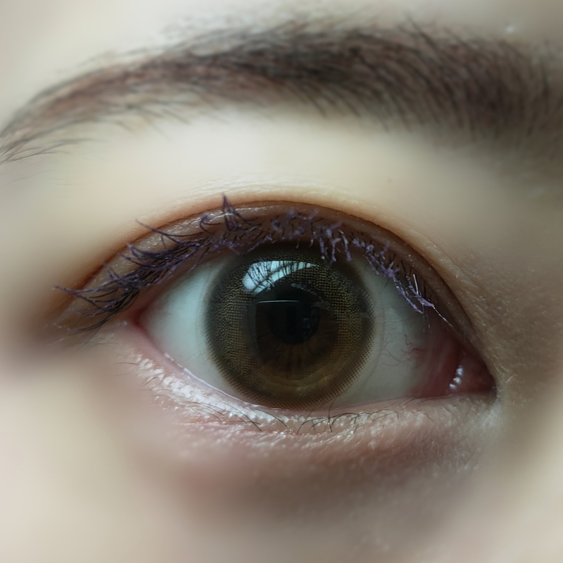 EYECICLE 1day/EYECICLE/カラーコンタクトレンズを使ったクチコミ（3枚目）