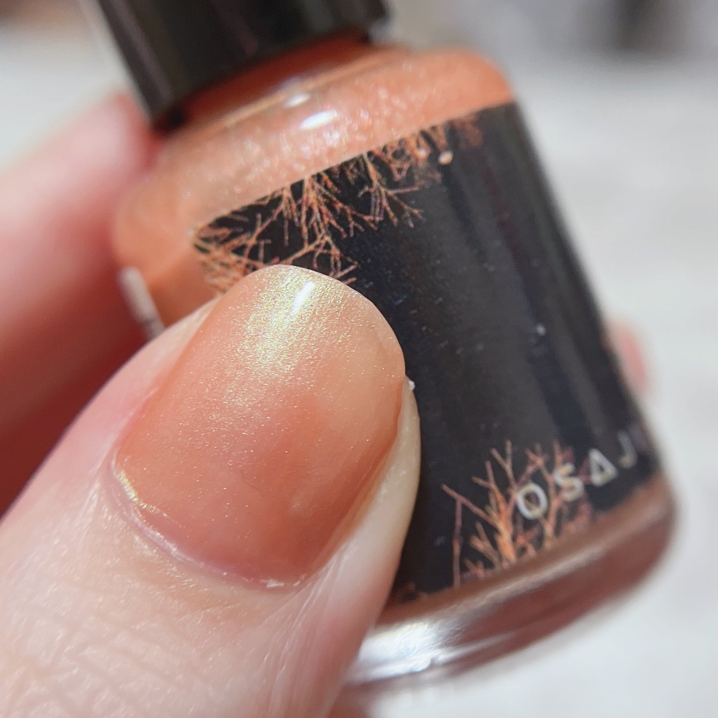 オサジ アップリフト ネイルカラー/OSAJI/マニキュアを使ったクチコミ(1枚目)