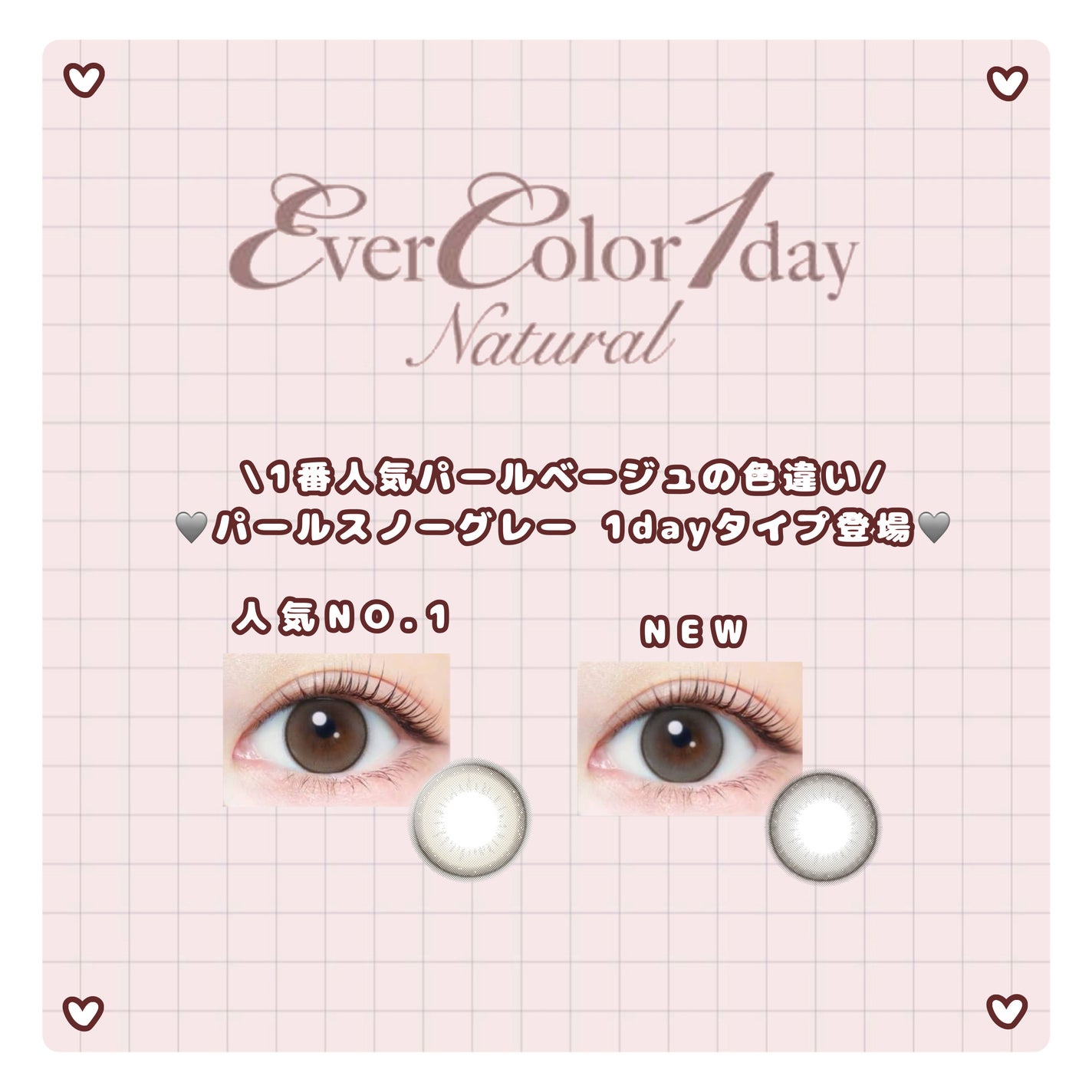 エバーカラーワンデー ナチュラル/エバーカラー/ワンデー(1DAY)カラコンを使ったクチコミ(1枚目)
