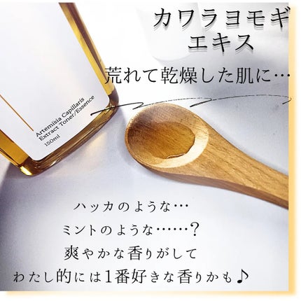 スキンケアトナー/CHAEB GONGGAN/化粧水を使ったクチコミ(3枚目)