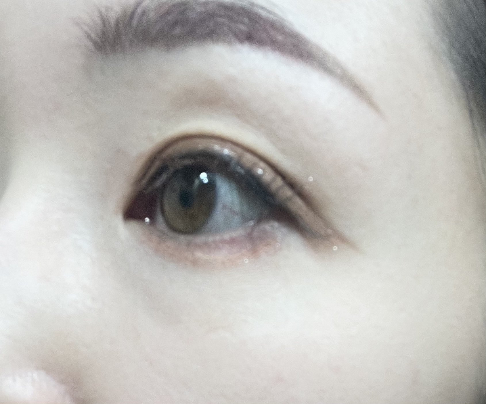 ラスティングマルチアイベース WP/キャンメイク/アイシャドウベースを使ったクチコミ（3枚目）