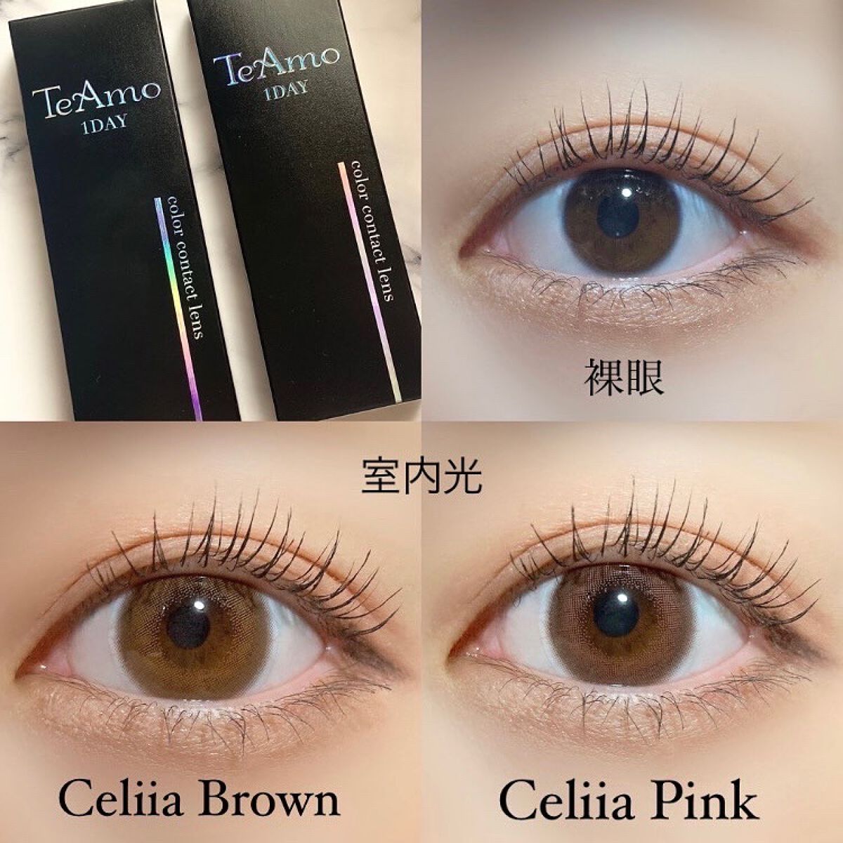 TeAmo 1DAY/TeAmo/ワンデー(1DAY)カラコンを使ったクチコミ(4枚目)
