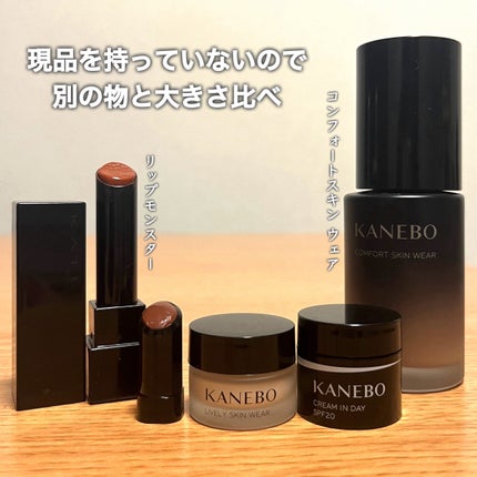 クリーム イン デイ/KANEBO/フェイスクリームを使ったクチコミ(3枚目)