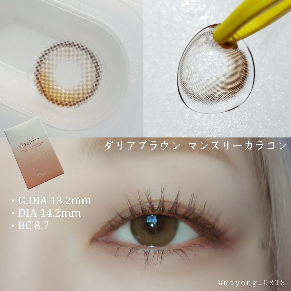 ダリアブラウンマンスリー (DAHLIA BROWN monthly)/OLOLA/1ヶ月(1MONTH)カラコンを使ったクチコミ(3枚目)