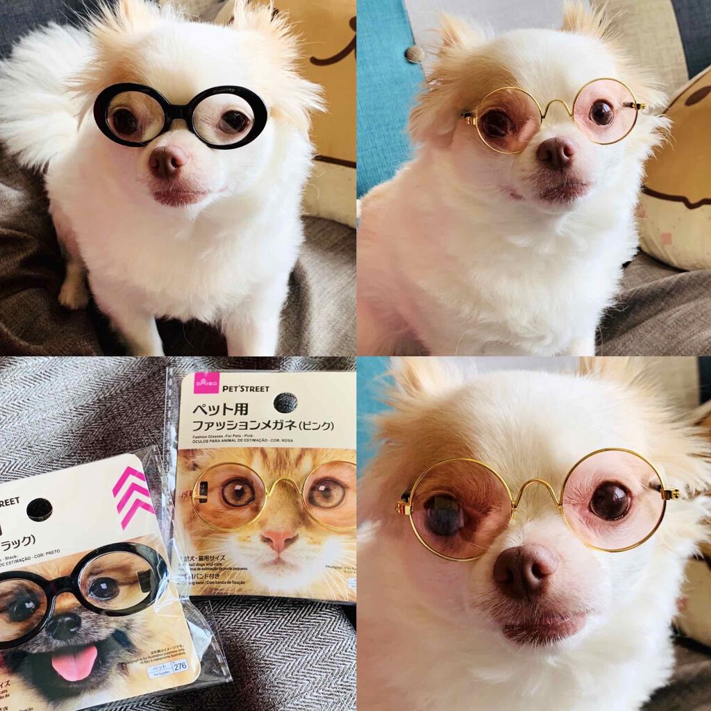 ペット用メガネ Daisoの口コミ 超優秀 100均で買えるおすすめコスメ 雑談 今日ダイソーに By ひろろん 混合肌 Lips