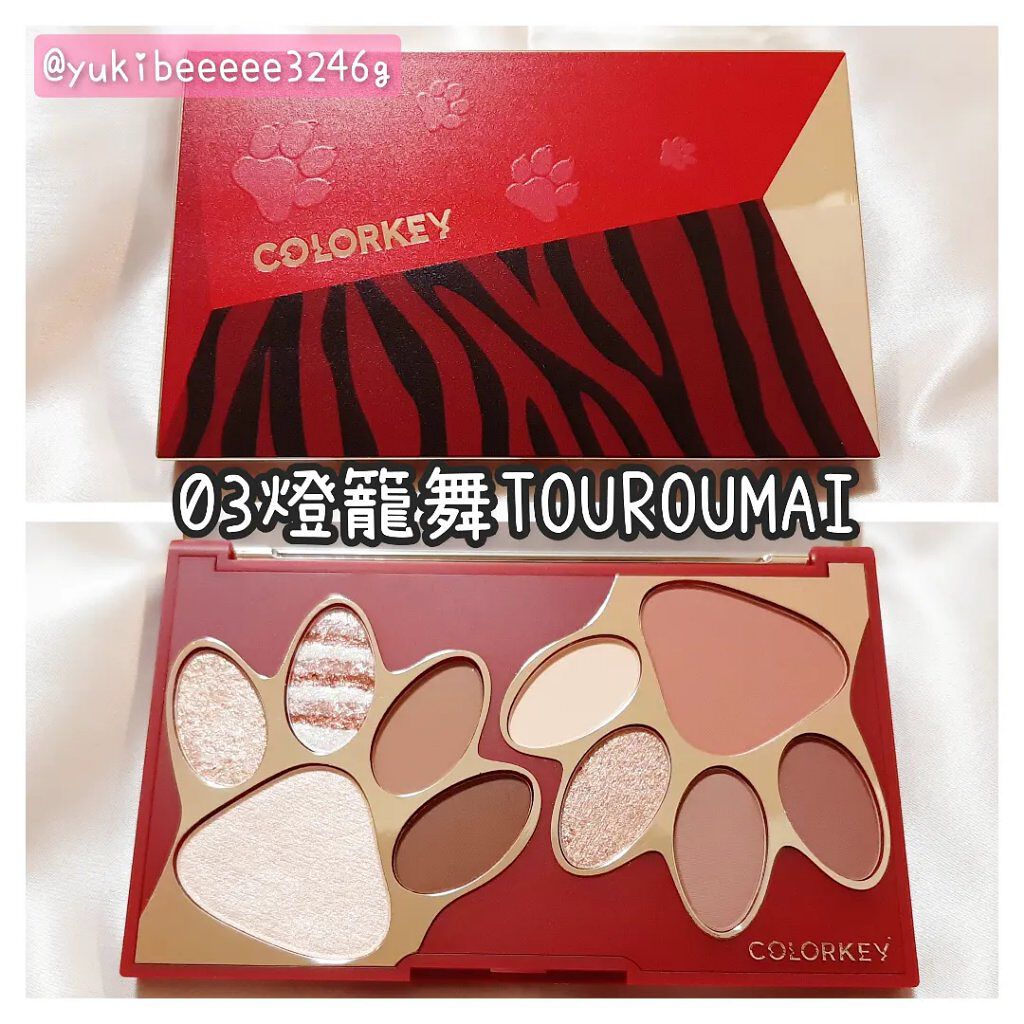 トラ十色アイシャドウパレット/COLORKEY/アイシャドウパレットを使ったクチコミ(5枚目)