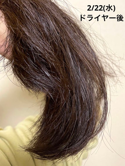 柳屋 あんず油/柳屋あんず油/ヘアオイルを使ったクチコミ(7枚目)