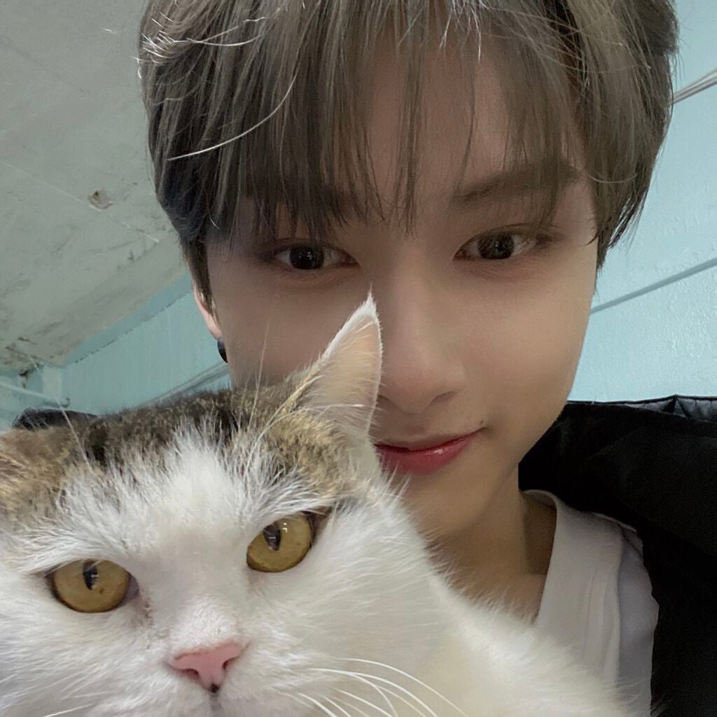 えま on LIPS 「🐰͛.*KPOP好きな人集まれっ🐰͛.*投稿することがなかなか..」(6枚目)