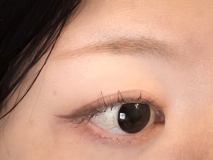 パーフェクトエクステンション マスカラ/D-UP/マスカラを使ったクチコミ(7枚目)