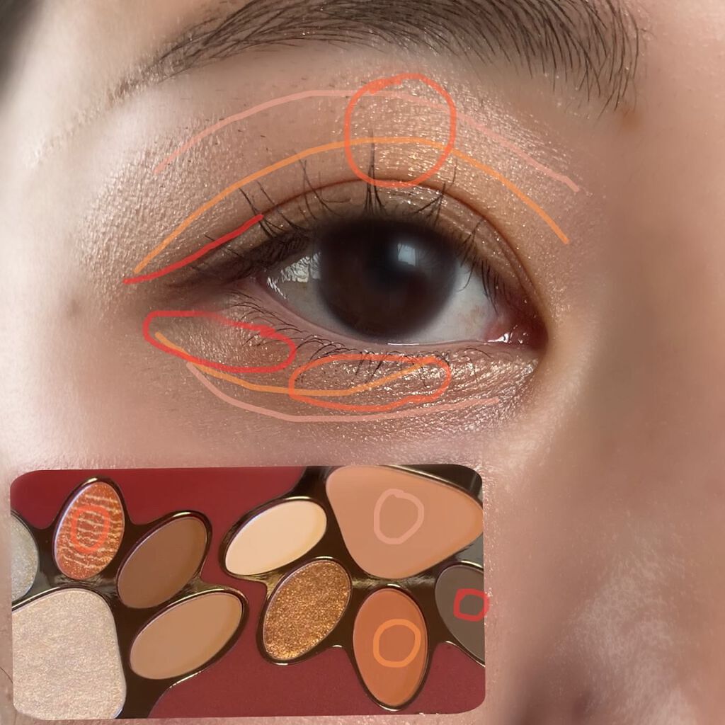 トラ十色アイシャドウパレット/COLORKEY/アイシャドウパレットを使ったクチコミ（2枚目）