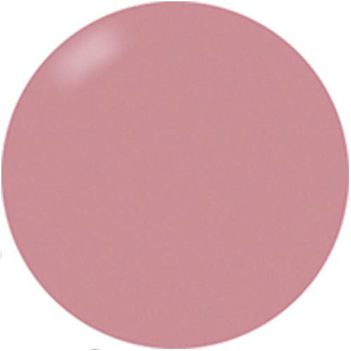 ブラッシュオンカラージェル 205