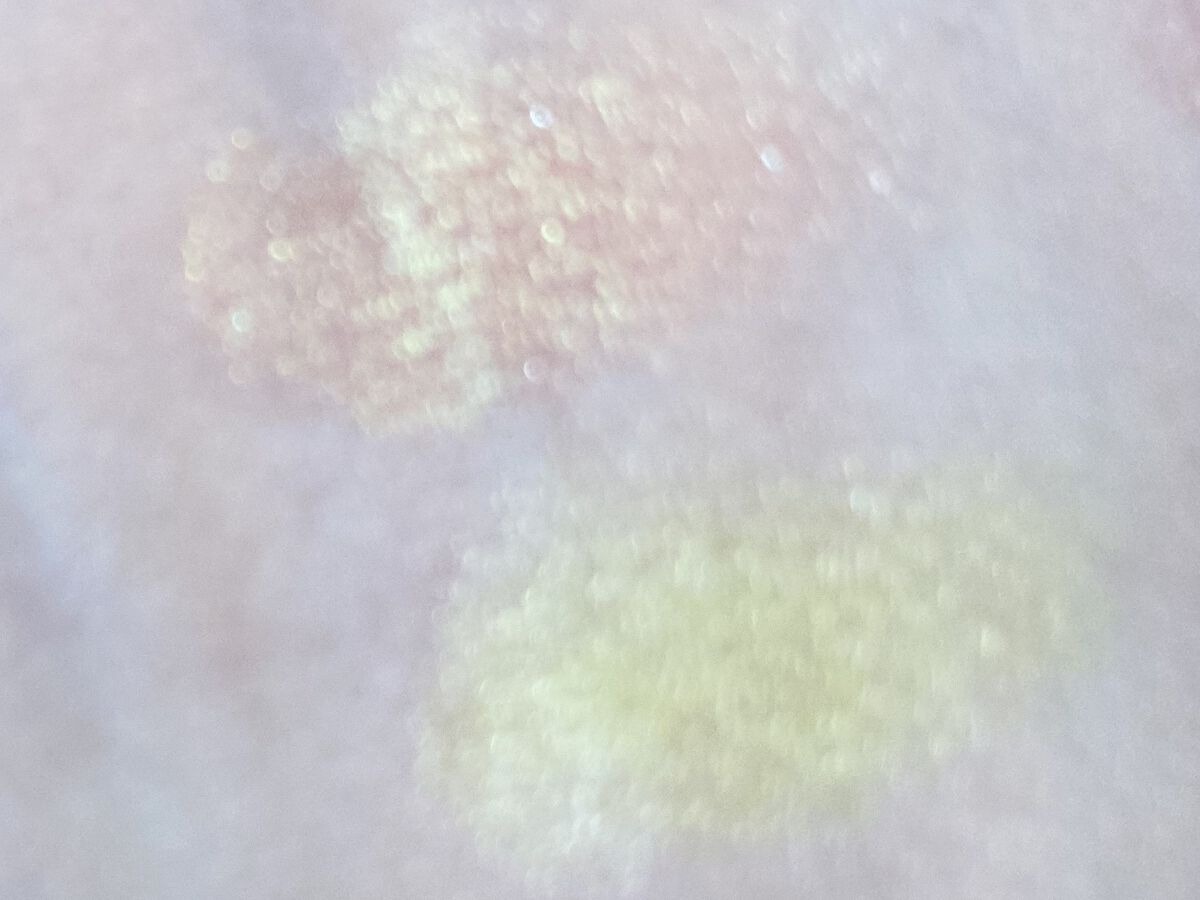 ヴィセ アヴァン シングルアイカラー/Visée/単色アイシャドウを使ったクチコミ（2枚目）