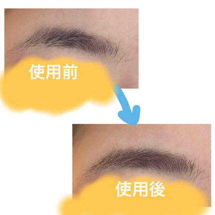 ラブ・ライナー シグネチャーフィットマスカラ<アイブロウ>/ラブ・ライナー/眉マスカラを使ったクチコミ(2枚目)