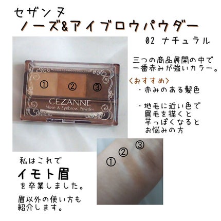 ノーズ&アイブロウパウダー/CEZANNE/パウダーアイブロウを使ったクチコミ(1枚目)