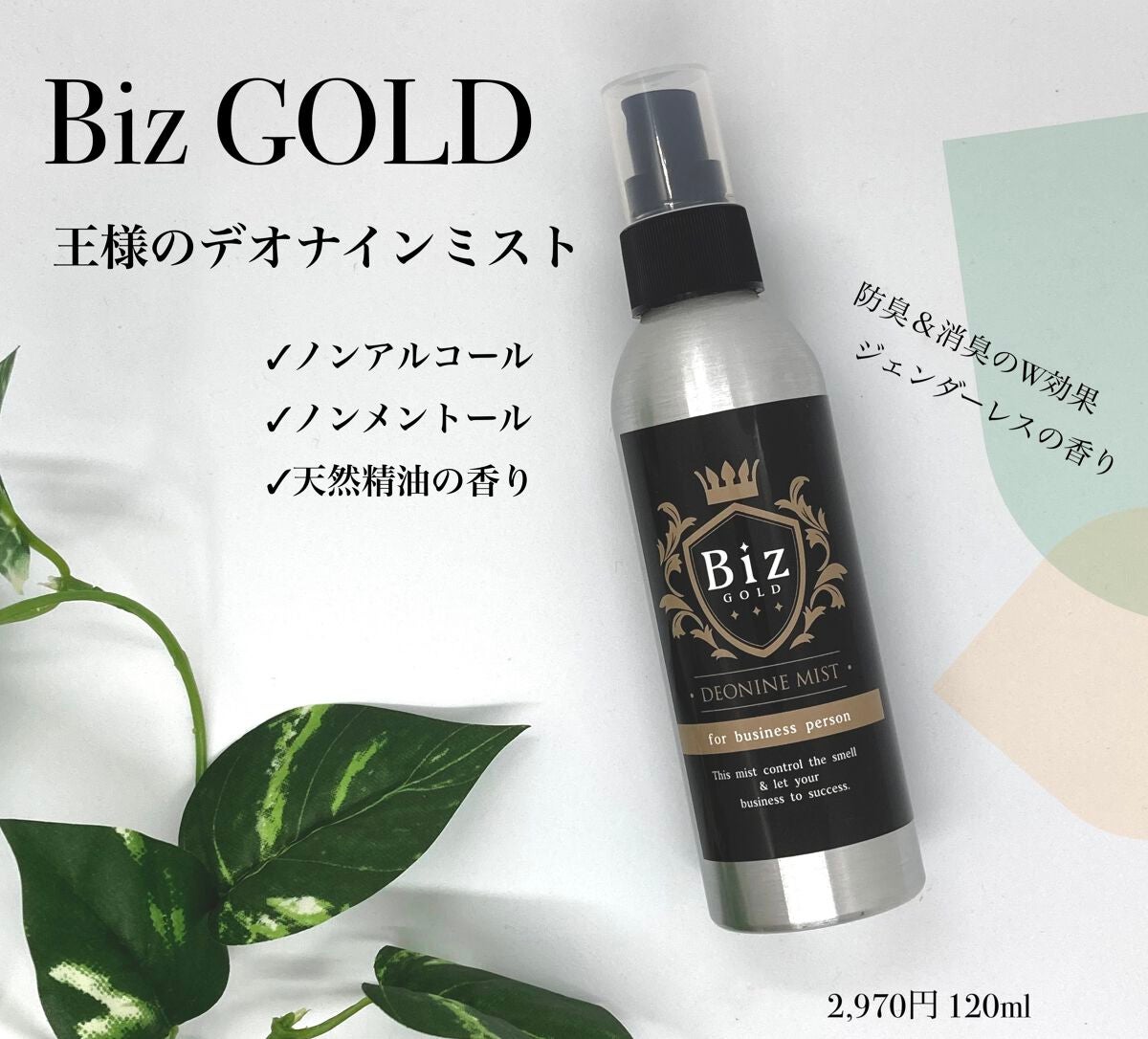 デオナインミスト/Biz Gold/デオドラント・制汗剤を使ったクチコミ(1枚目)
