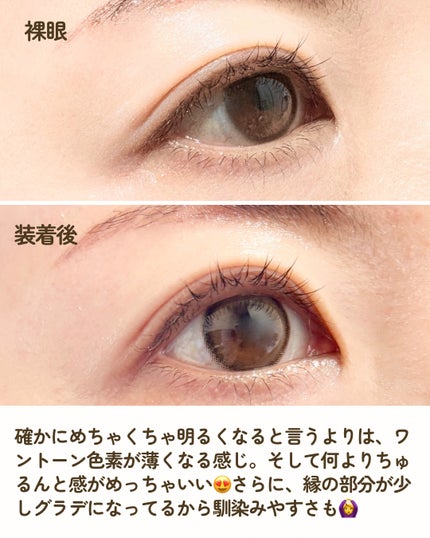 CANNA ROZE 1year カンナロゼ ベージュ/URIA i-DOL/カラーコンタクトレンズの画像