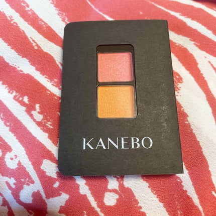 カネボウ アイカラーデュオ/KANEBO/アイシャドウパレットを使ったクチコミ(1枚目)