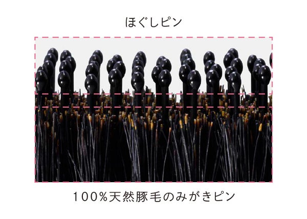 ReFaから新ブラシ「ReFa MARQUISE(リファマーキス)」と「ReFa AILE BRUSH RAY(リファエールブラシレイ)」が登場の画像