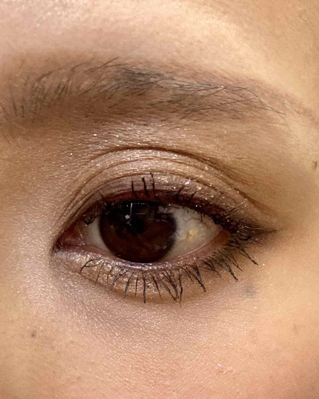 ウォンテッド トレジャーボックス アイパレット グランドライン/shu uemura/アイシャドウパレットを使ったクチコミ（3枚目）