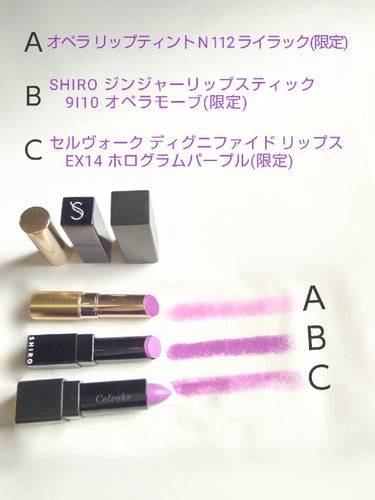 パワーマットリップピグメント/NARS/口紅を使ったクチコミ（2枚目）