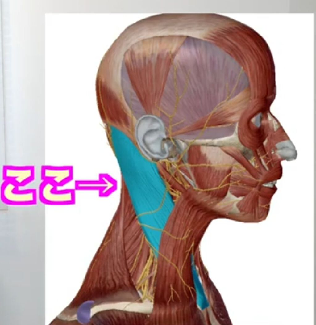 はーりー੯•́ʔ̋ ͙͛*͛ ͙͛*͛ ͙͛̋و on LIPS 「石原さとみさんの首周り、フェイスライン整ってて綺麗ですよねたま..」(2枚目)