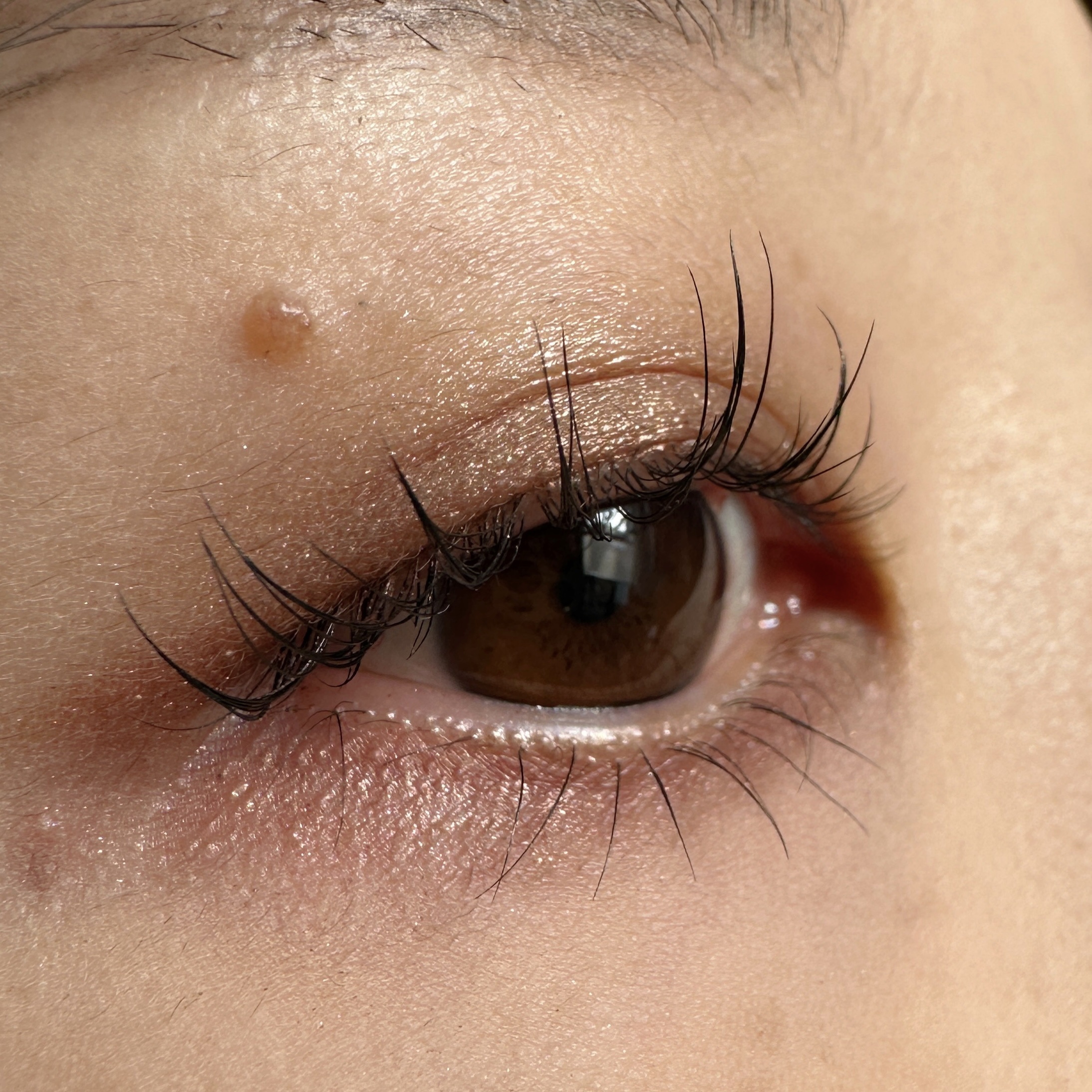 シャインアイシャドウパレット 02 ブロンズブラウン/BabyBright/アイシャドウパレットを使ったクチコミ（2枚目）