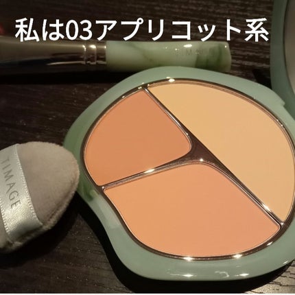 TIMAGE 3色チークパレット/TIMAGE/パウダーチークを使ったクチコミ(4枚目)