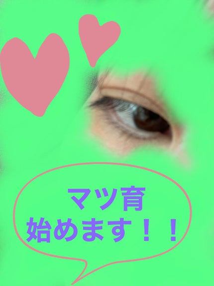 アイラッシュセラム/VIYEUX/まつげ美容液を使ったクチコミ(1枚目)