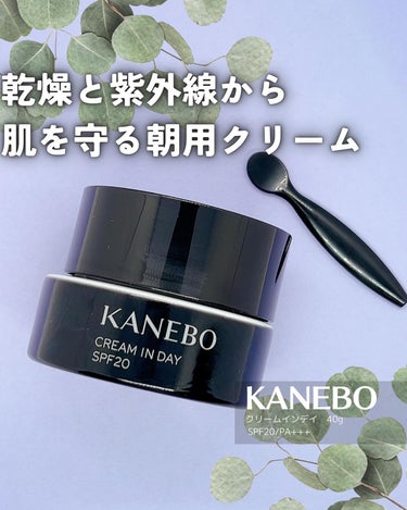 クリーム　イン　デイ/KANEBO/フェイスクリームを使ったクチコミ（1枚目）