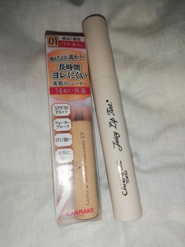 かっつん(入院中) on LIPS 「【使った商品】CANMAKEリップティントＮｏ．4限定色【色味..」（1枚目）