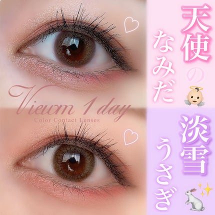 ビュームワンデー/ビューム/ワンデー(1DAY)カラコンを使ったクチコミ(1枚目)