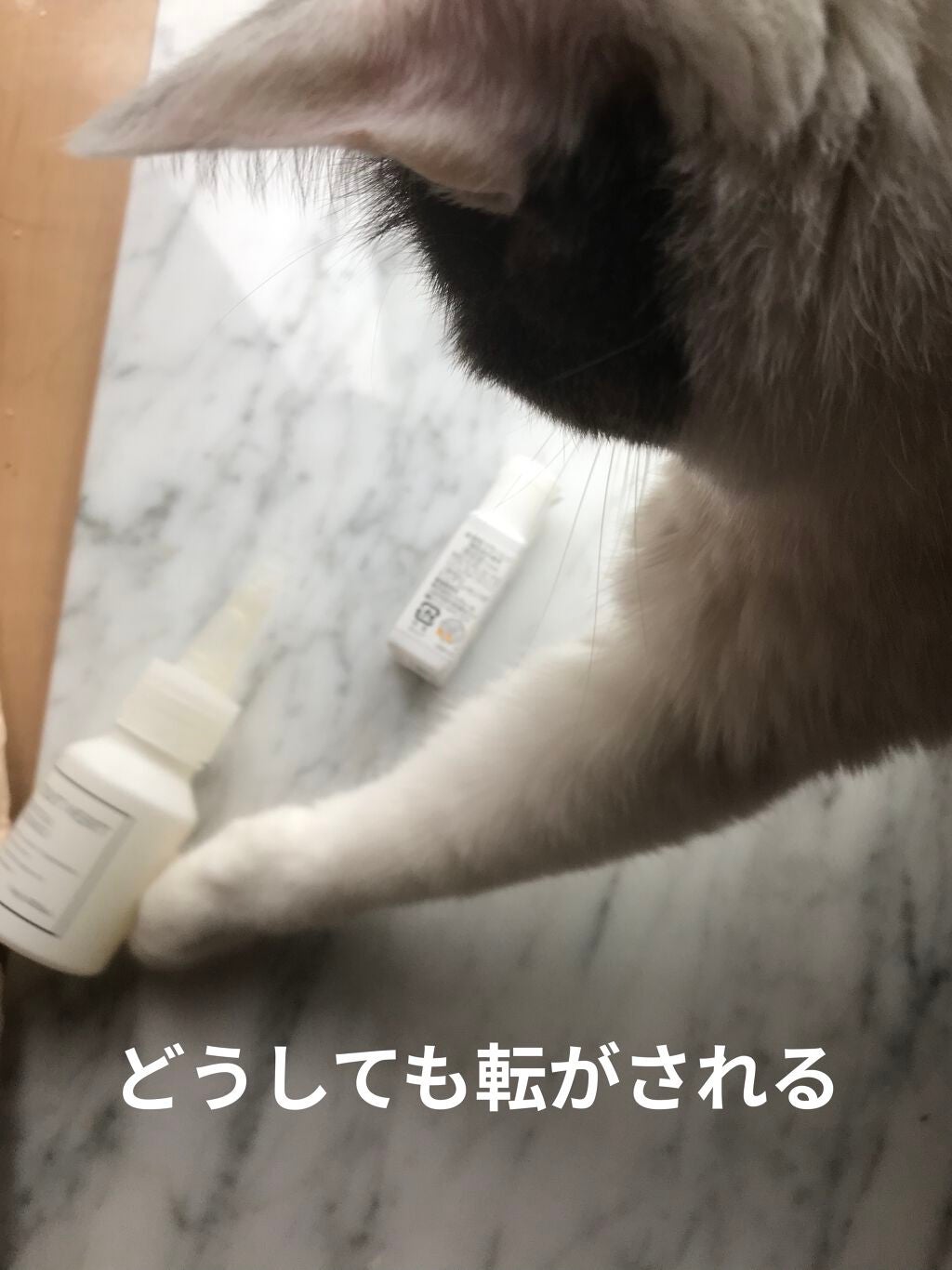 水溶性フラーレン/TOUT VERT/美容液を使ったクチコミ(3枚目)